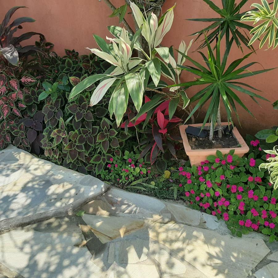 Ecco House Buzios Villa Dış mekan fotoğraf